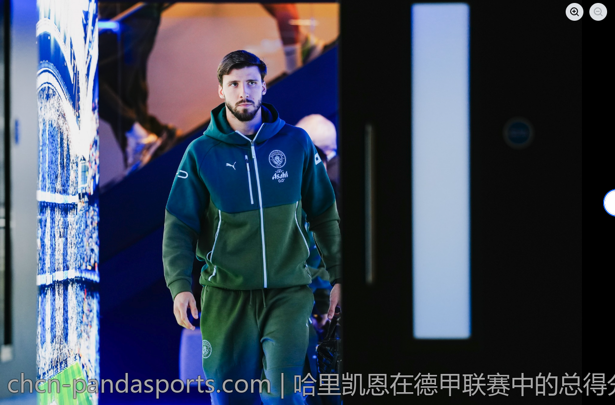 哈里凯恩在德甲联赛中的总得分表现汇总